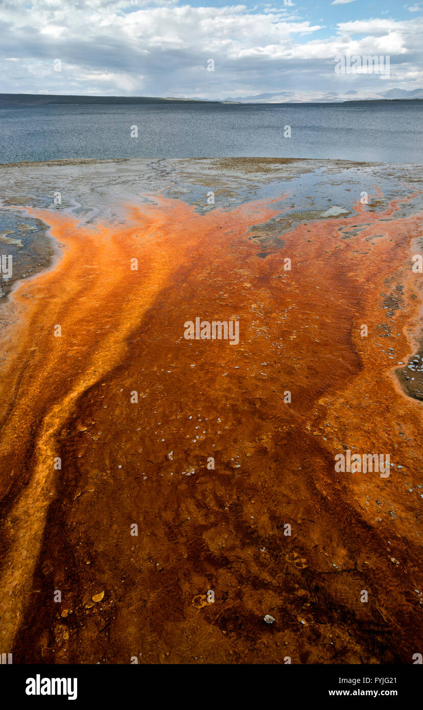 WYOMING - Colorful algae near the Black Pool in the West Thumb of Yellowstone Lake geyser basin of Yellowstone National Park. Stock Photo