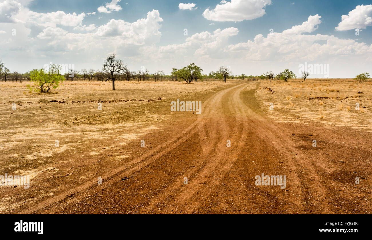 Tracks through a cattle station in the Barkly Tablelands, Northern Territory, Australia. Stock Photo