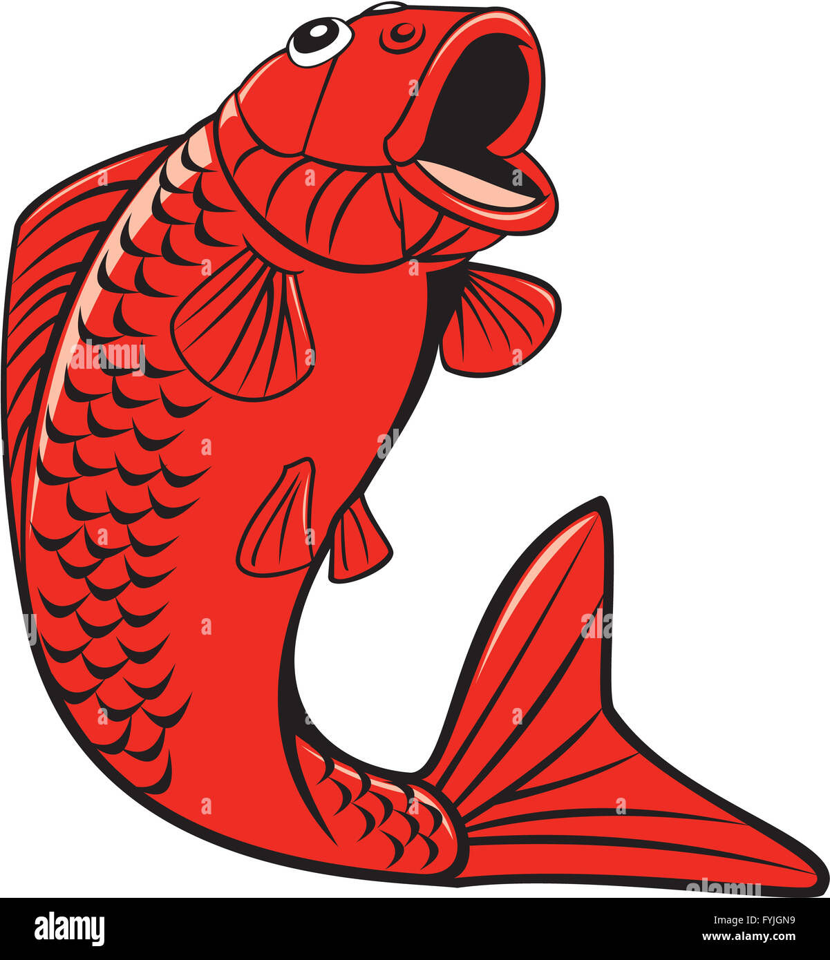 Koi Nishikigoi Carp Fish Jumping Cartoon Stock Photo - Alamy