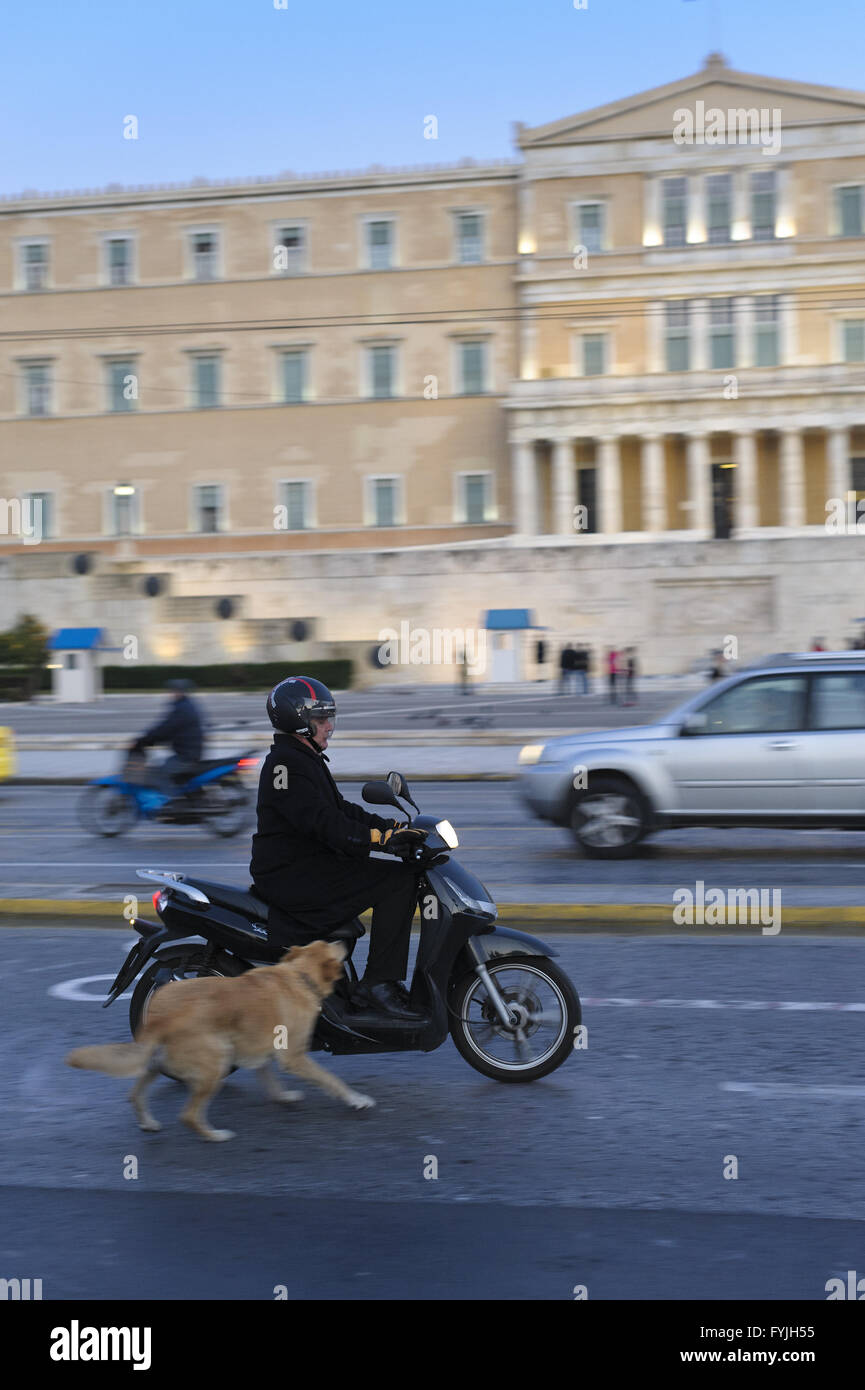 Stray dog attacking a biker at Syntagma Square Stock Photo