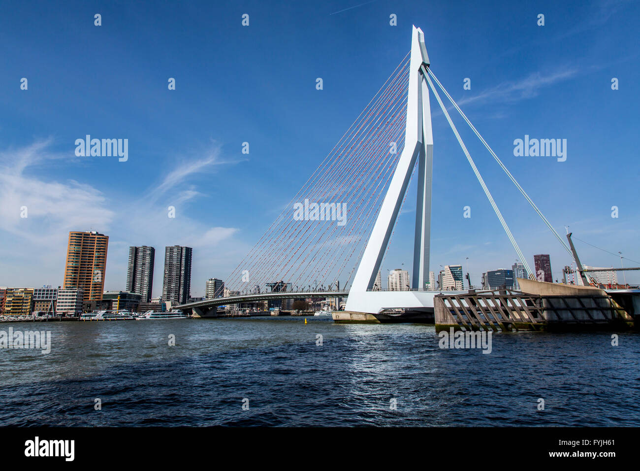 Erasmus bridge over river Nieuwe Maas, skyline of downtown Rotterdam, The Netherlands, traffic on bridge, ships on river, Stock Photo
