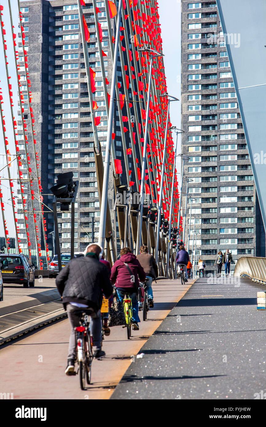 Erasmusbrug, bridge over the Nieuwe Maas, bike path, Rotterdam