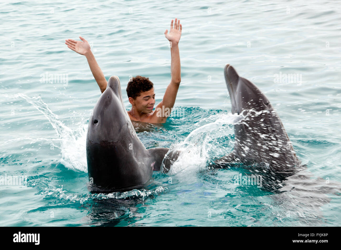 Happy with the dolphins Stock Photo