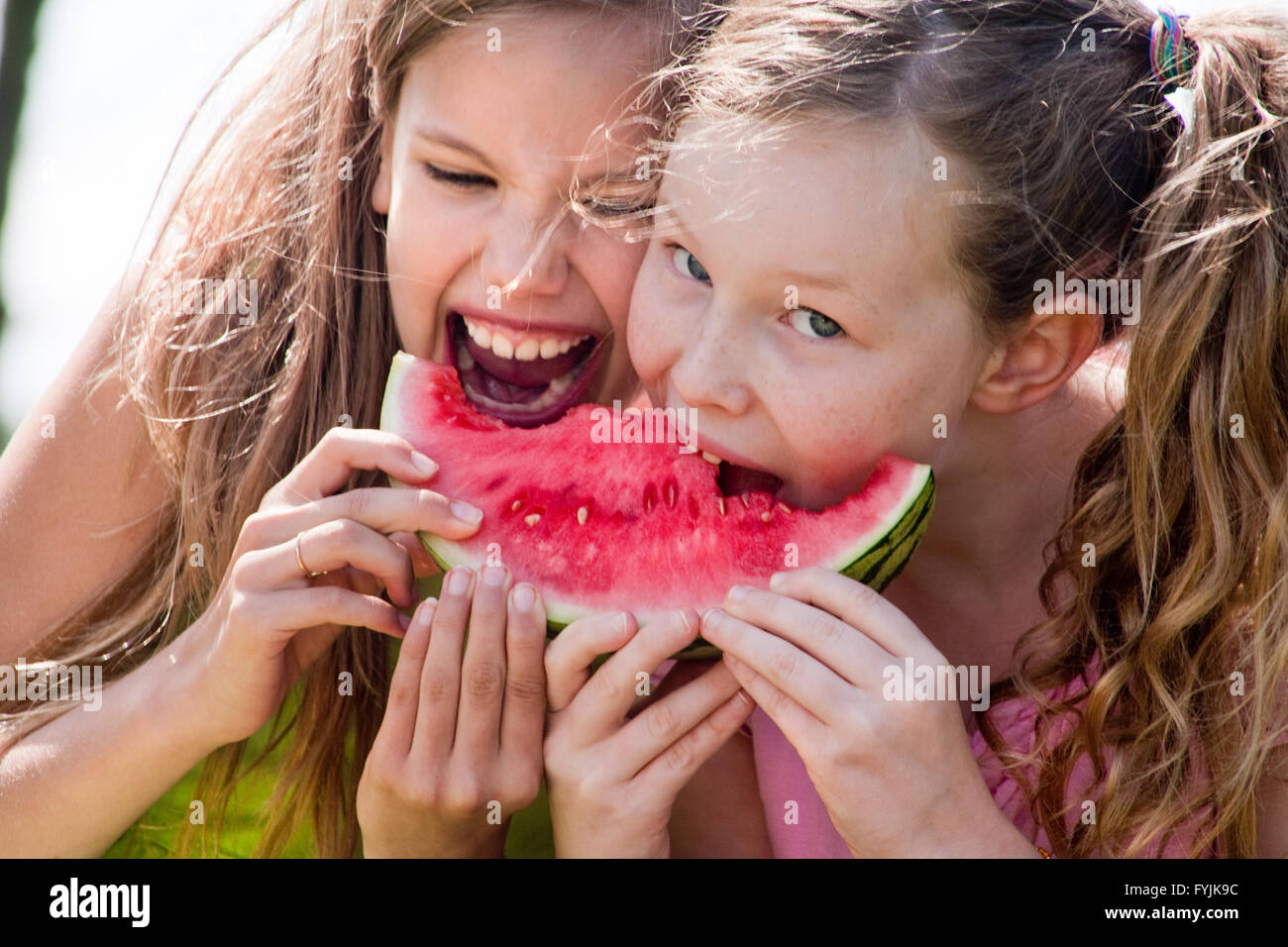 Attack the watermelon Stock Photo