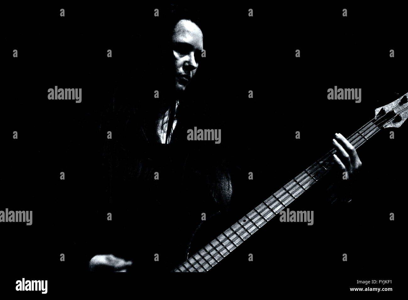 Live concert Gig Stock Photo Alamy