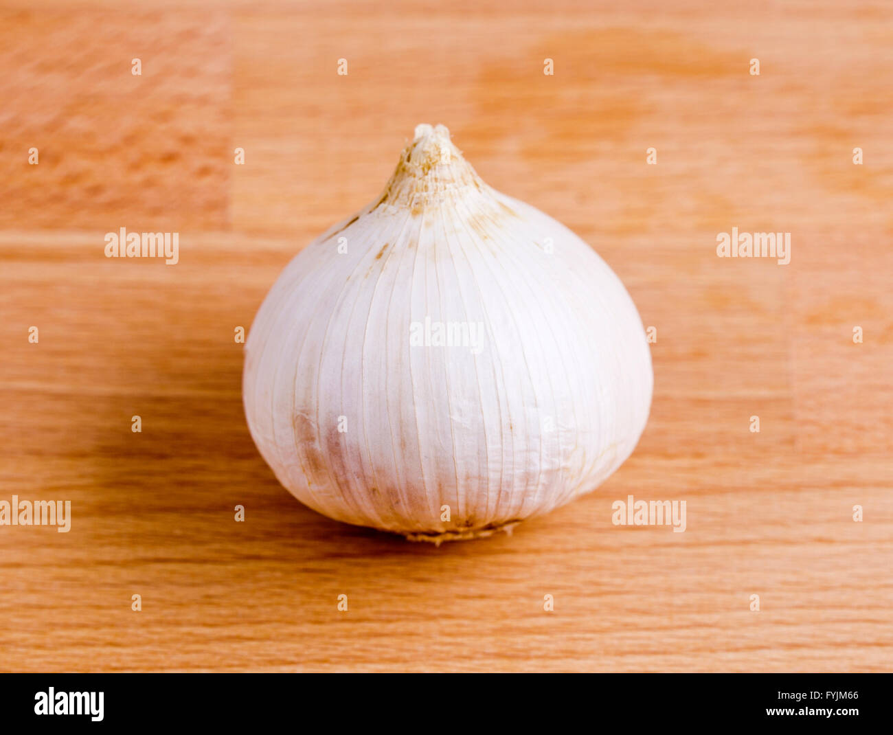 Fresh Single Clove Garlic, also known as pearl garlic or solo garlic
