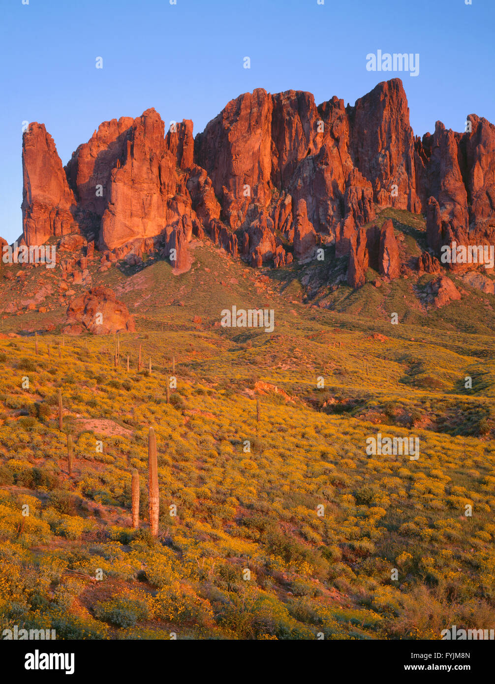 usa-arizona-tonto-national-forest-superstition-mountains-overlook