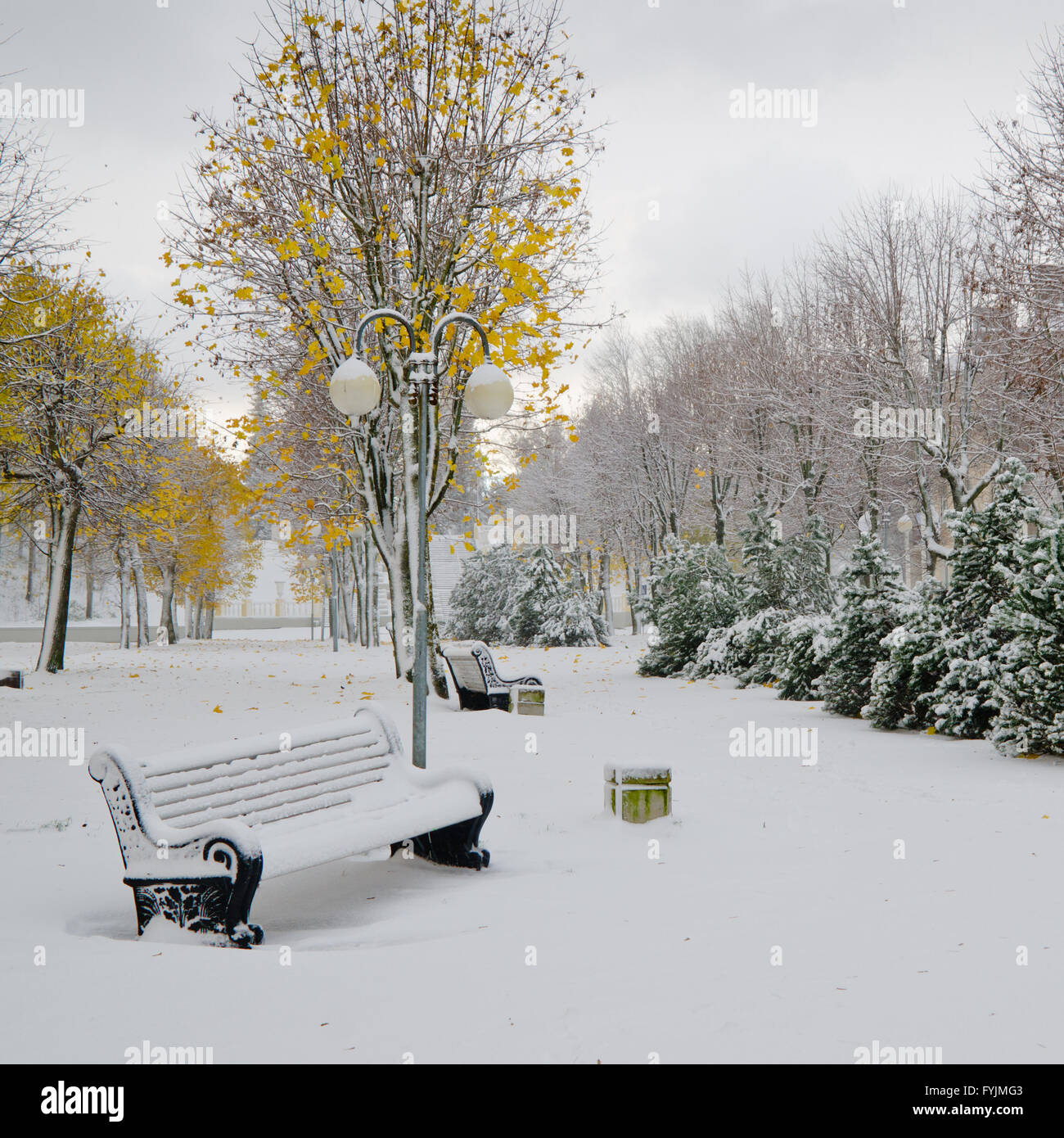 Alley in the Park later in the autumn. Snow storm Stock Photo - Alamy
