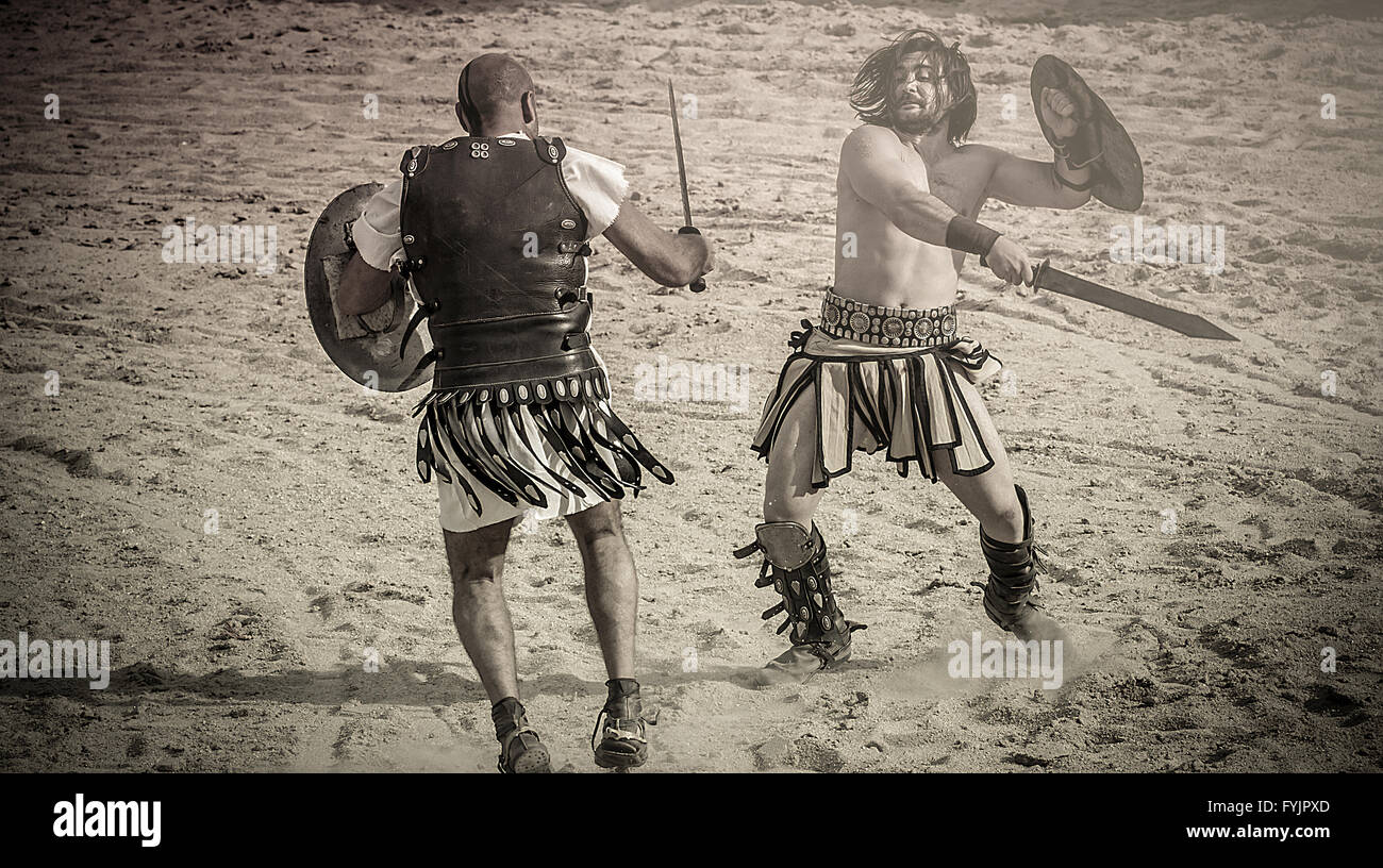gladiators fighting in the arena, horses and chariots in the Roman circus fight Stock Photo