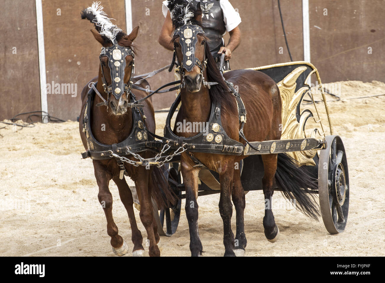 Roman chariot in a fight of gladiators, bloody circus Stock Photo - Alamy