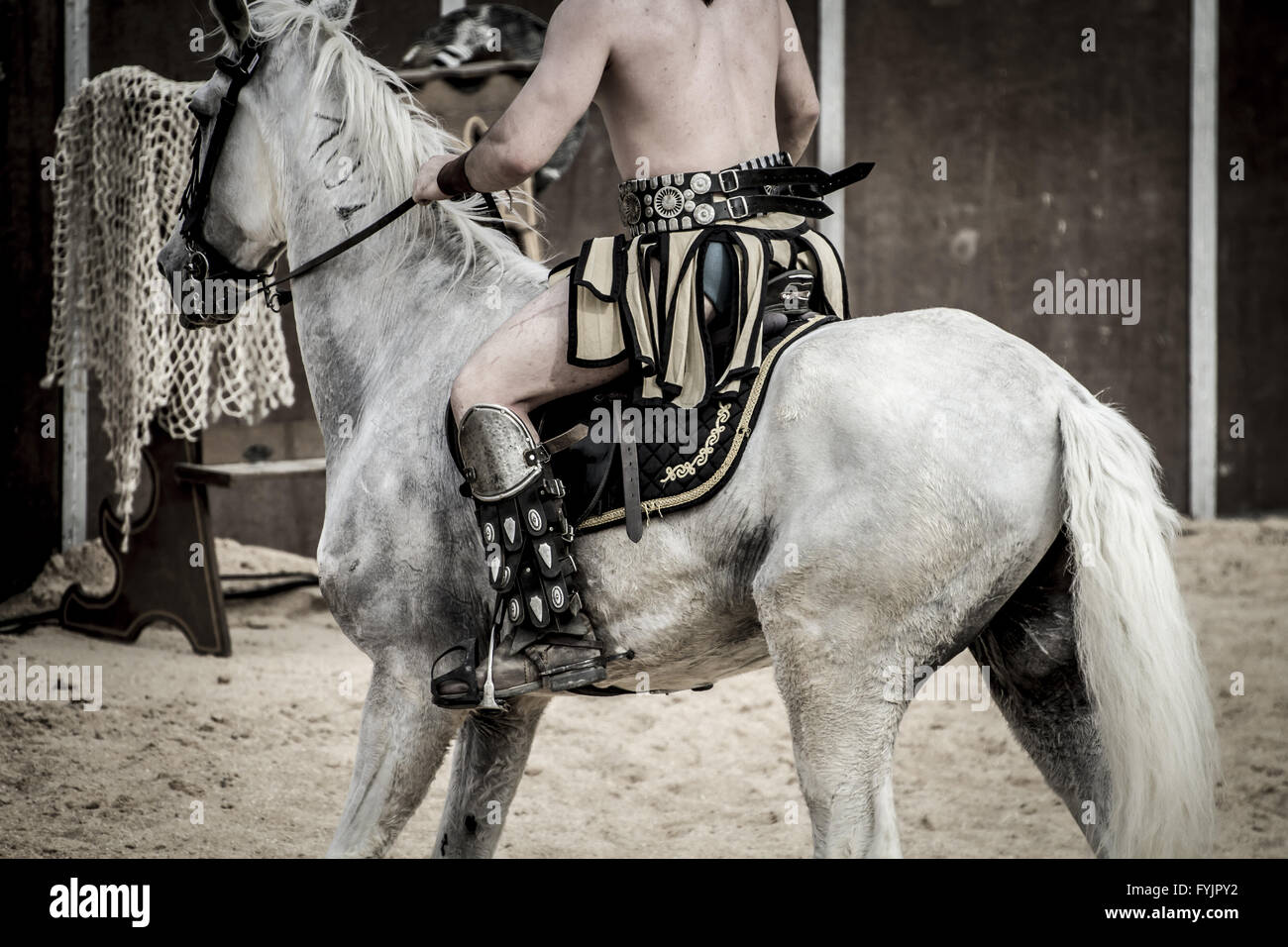 Beautiful white horse, Roman chariot in a fight of gladiators, bloody circus Stock Photo