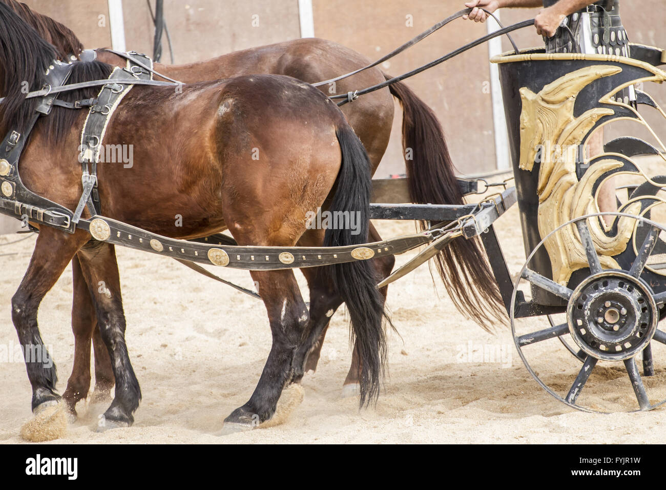 Competitors, Roman chariots in the circus arena, fighting warriors and horses Stock Photo