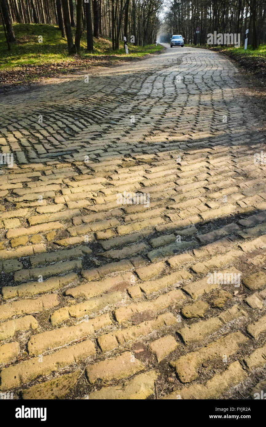 Road with brick pavement, Brandenburg, Germany Stock Photo