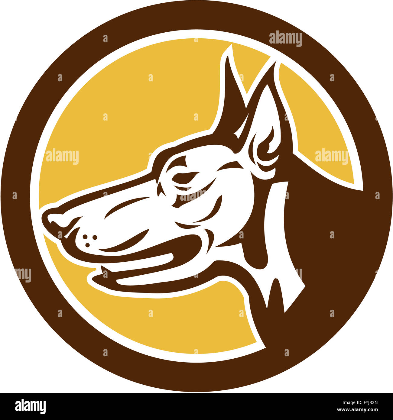 Doberman pinscher police dog hires stock photography and images Alamy