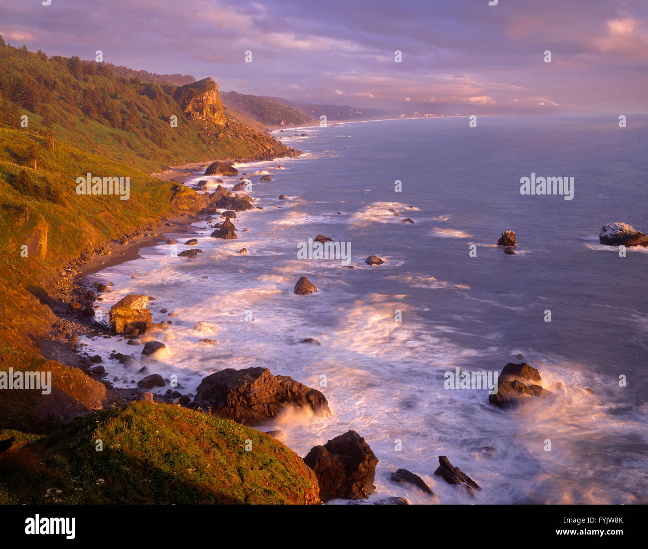 USA, California, Redwood National and State Parks, View south along