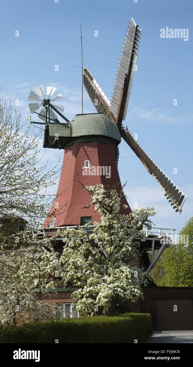 Windmill, Reitbrook Stock Photo