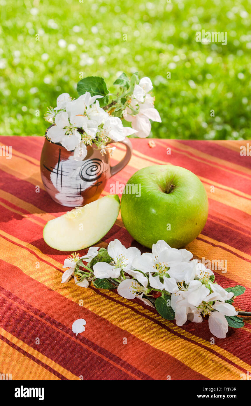 Green apple with a branch of a blossoming apple-tree Stock Photo - Alamy