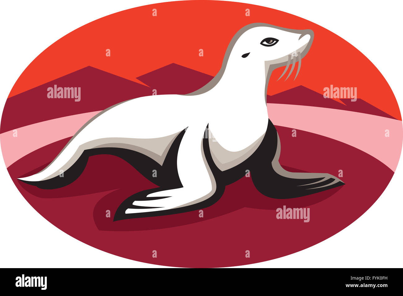 New Zealand Fur Seal Retro Stock Photo - Alamy
