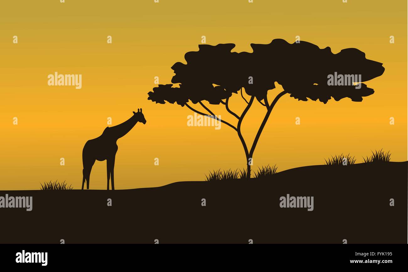 silhouettes of Giraffes and trees on Safari Stock Vector Image & Art ...