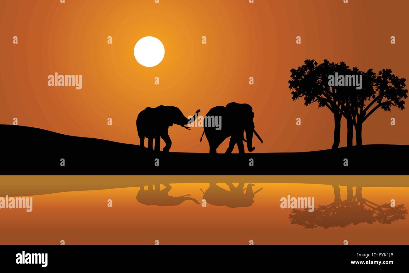 African Elephants at Sunset africana Stock Vector Image & Art - Alamy