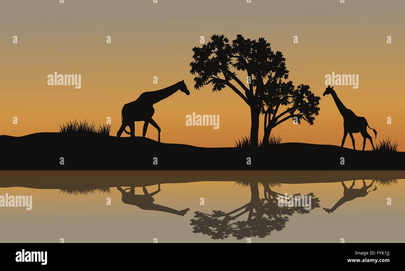 Giraffe at sunset scenery Stock Vector Image & Art - Alamy