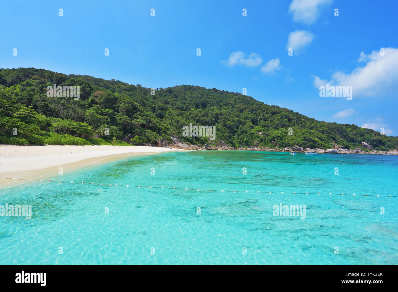 The beach surrounded by tropical green forest Stock Photo - Alamy