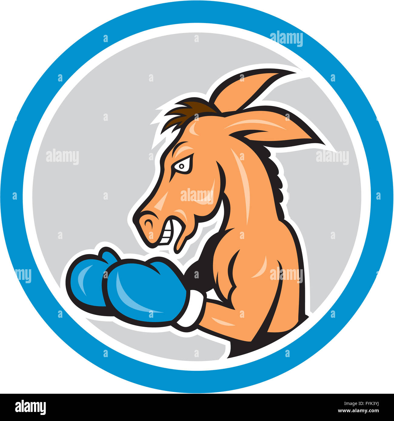 Donkey Boxing Side View Circle Cartoon Stock Photo - Alamy