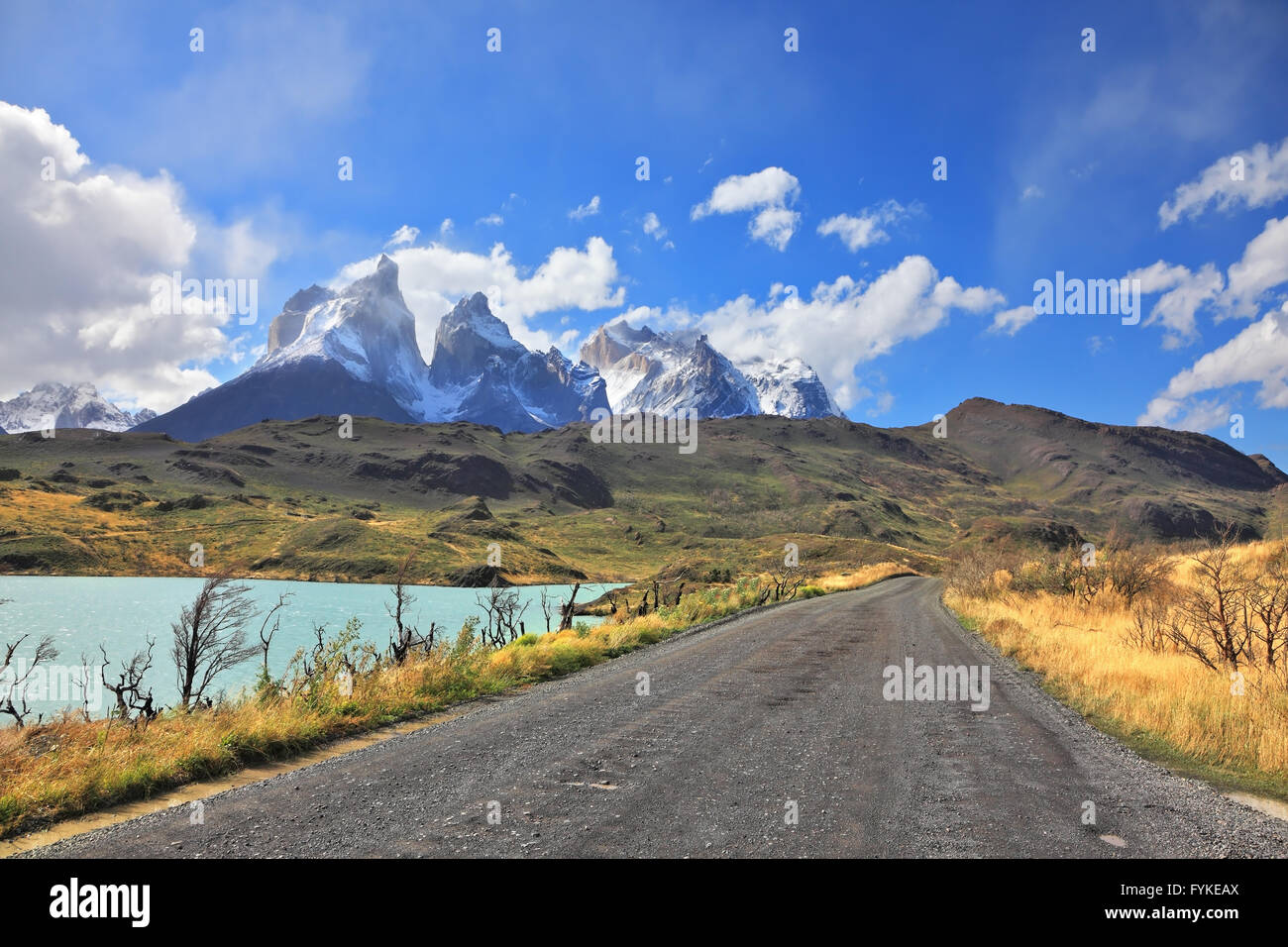 The gravel road along the shore of Lake Pehoe Stock Photo