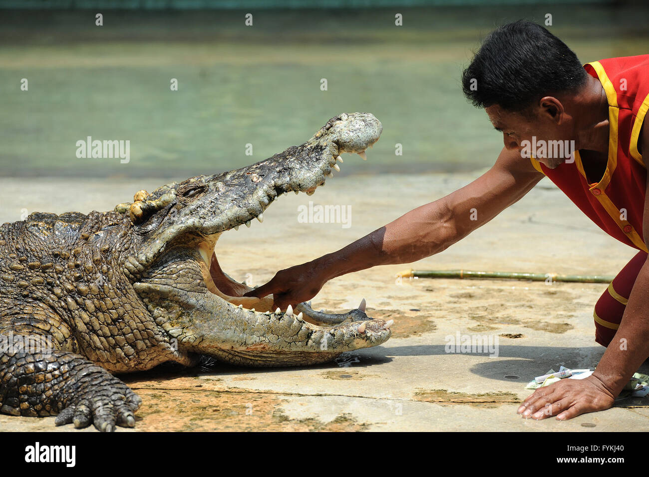 Gaping fangs hires stock photography and images Alamy