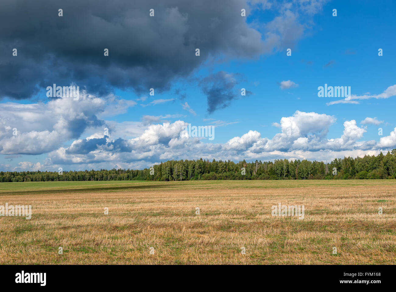 Landscape field and clouds summer, after the harvest Stock Photo - Alamy