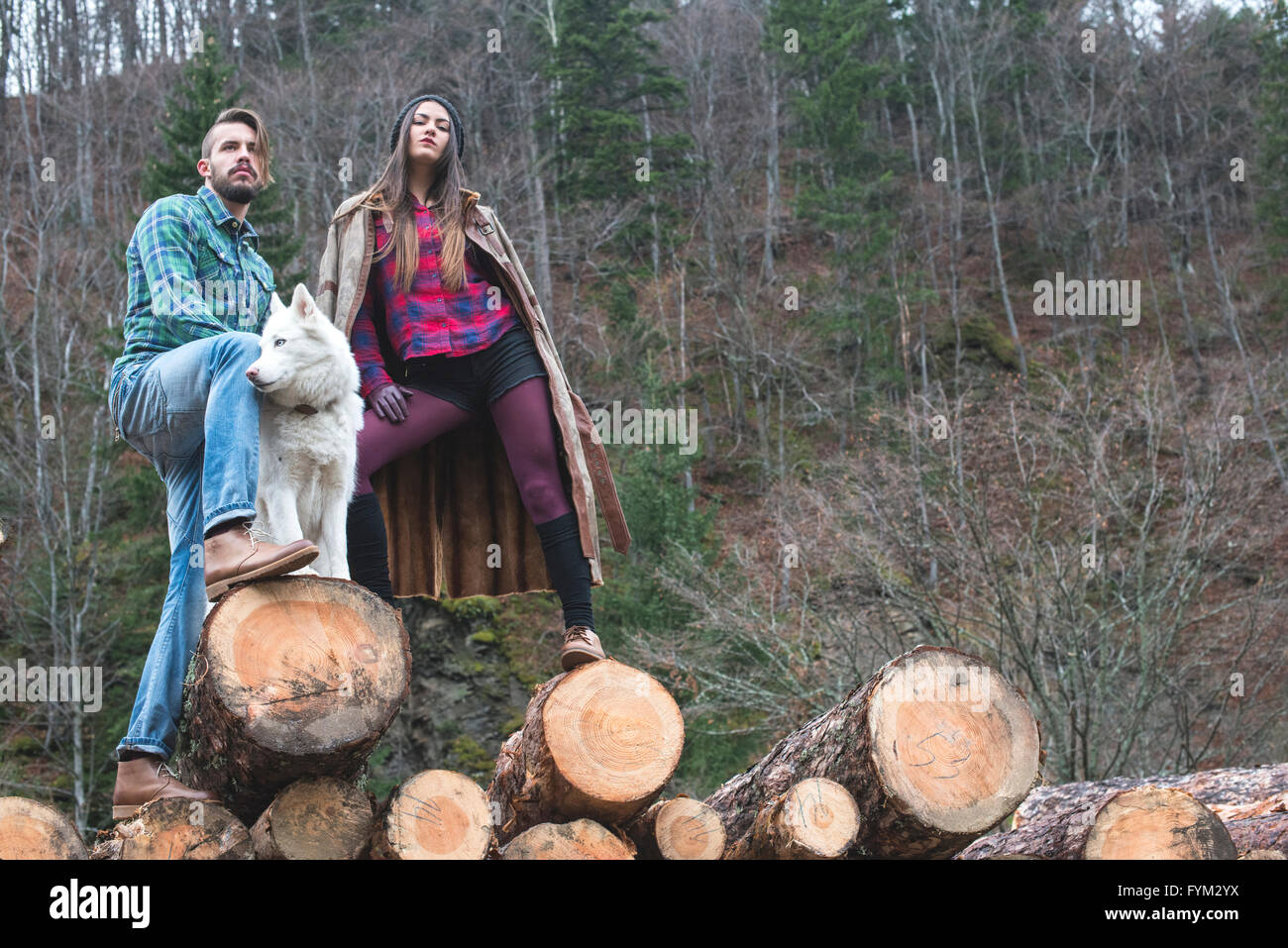 Young woman and men on wood logs in the forest. White dog Stock Photo ...