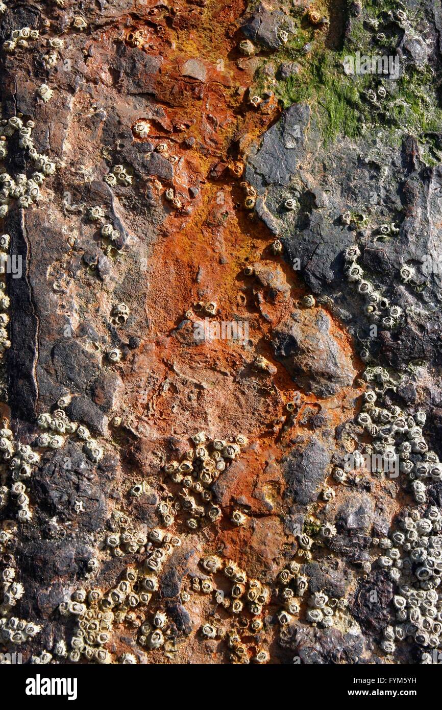 Old weathered rusty metal surface close-up Stock Photo