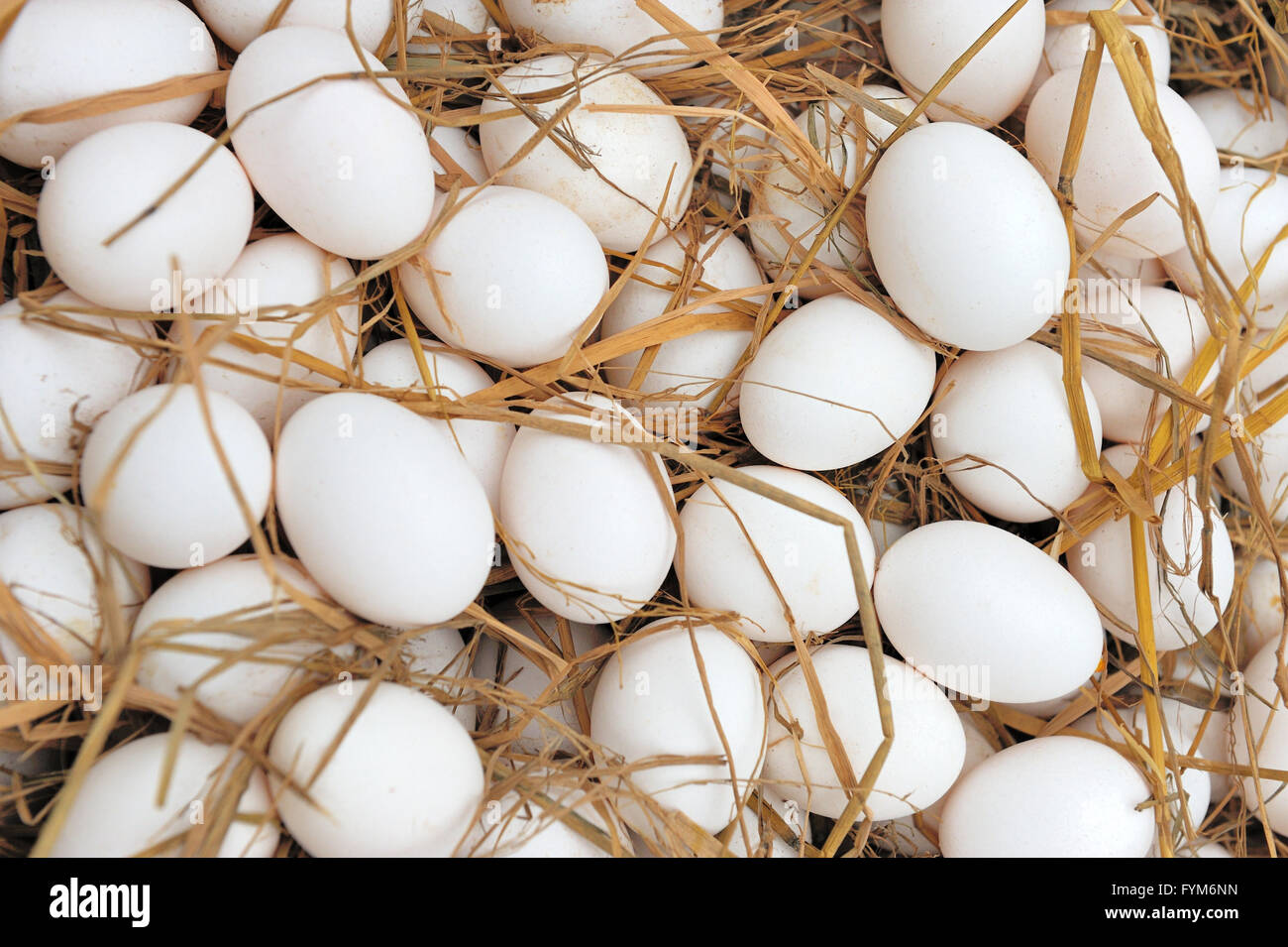 White eggs at hay nest in market Stock Photo - Alamy