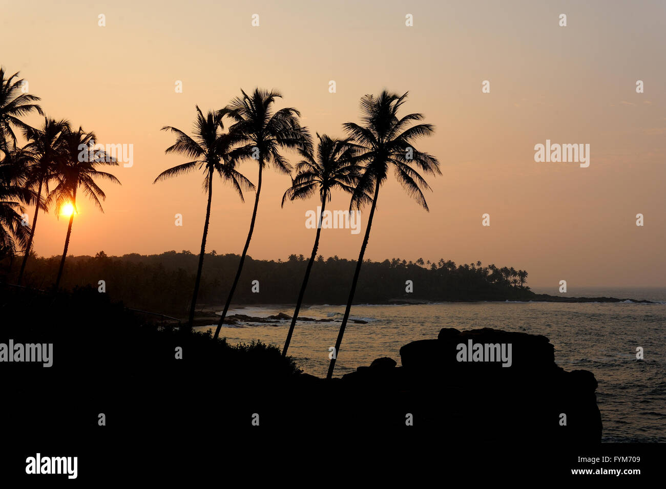 Beautiful tropical sunset with palm trees at beach Stock Photo - Alamy