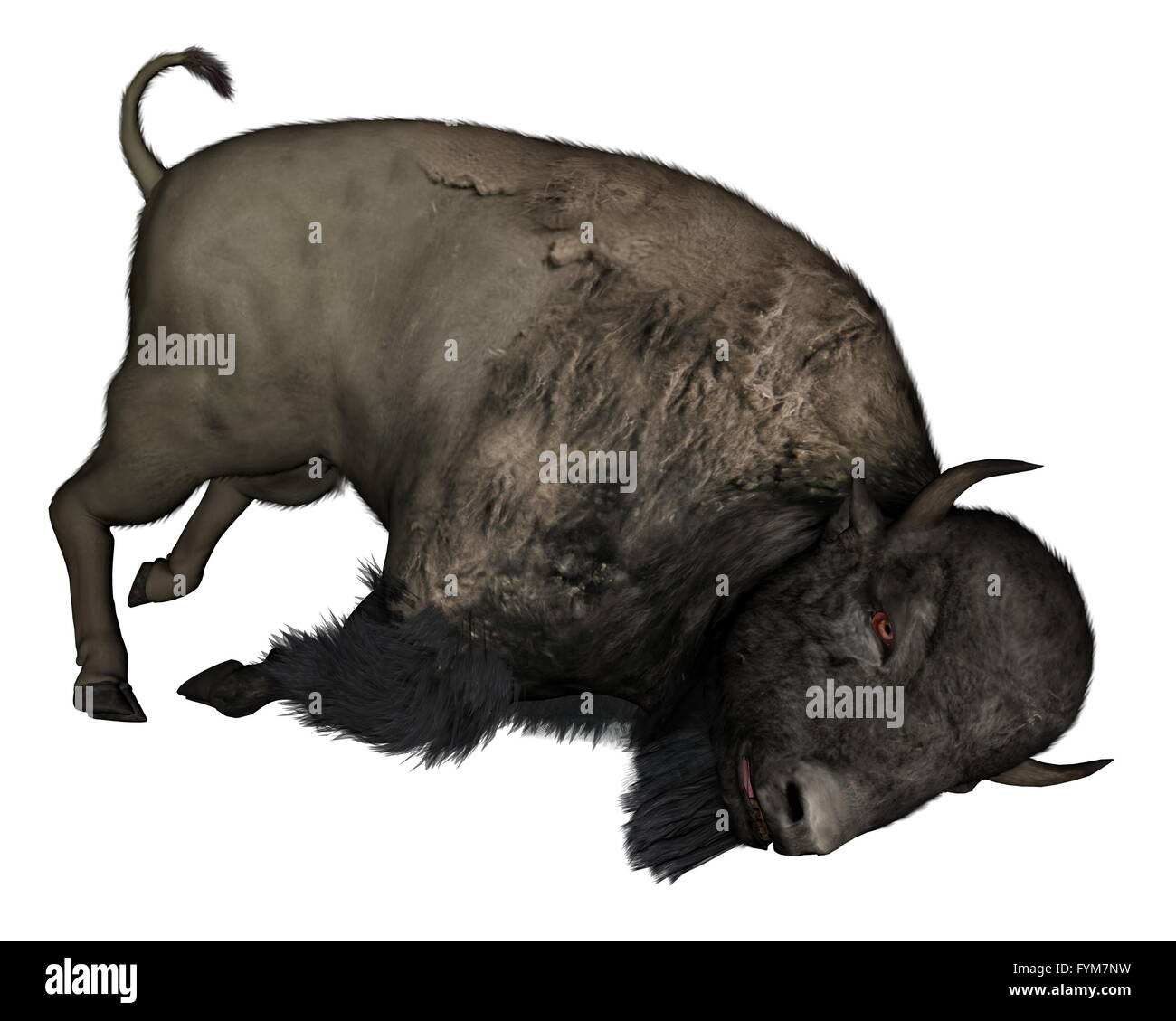bison-dead-3d-render-FYM7NW.jpg