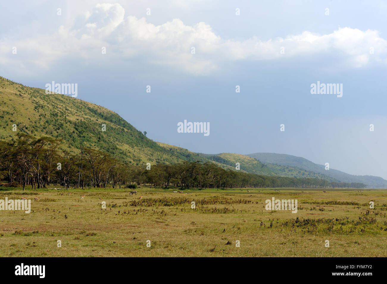 Africa savannah mountain hi-res stock photography and images - Alamy