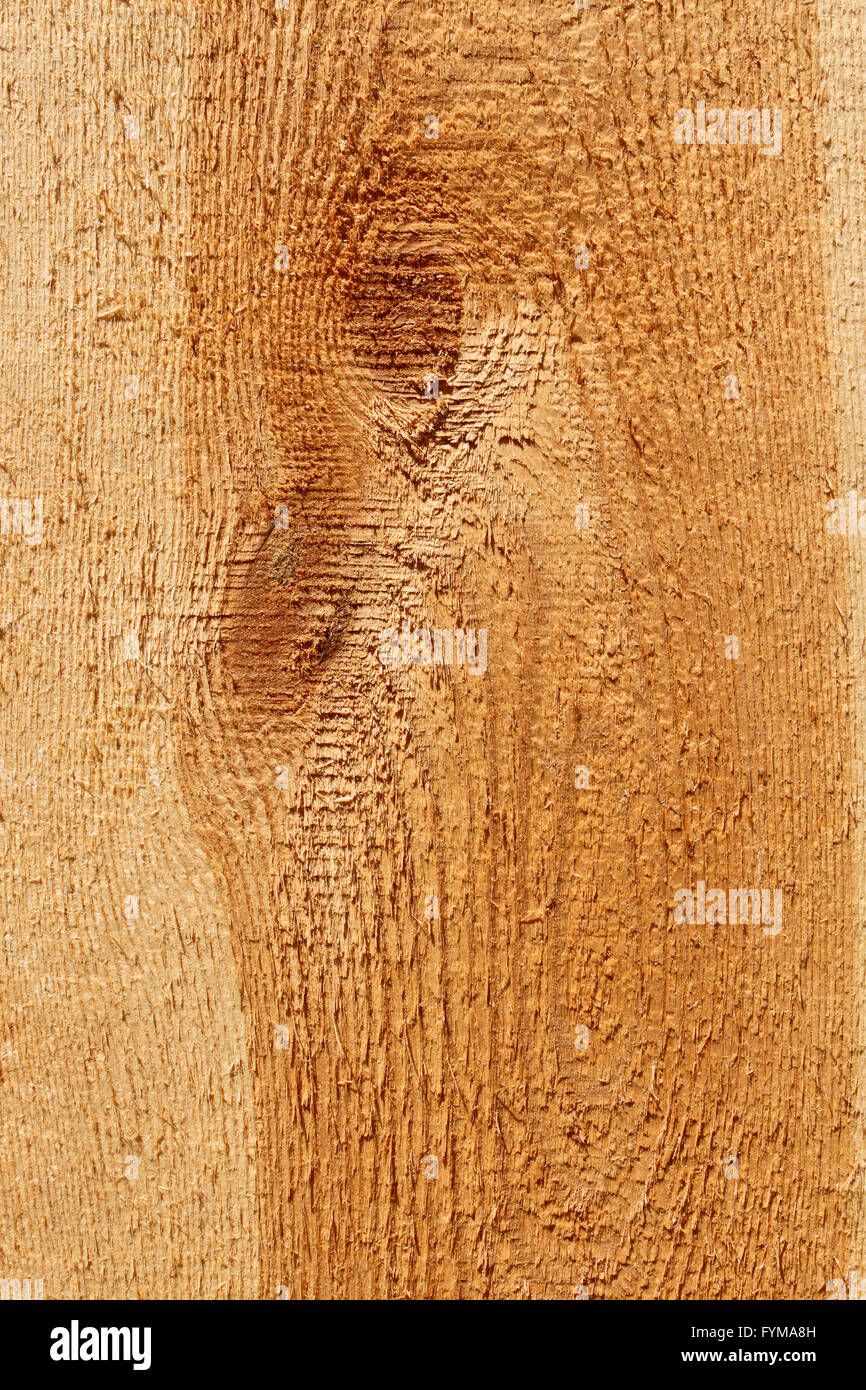 New wooden texture Stock Photo