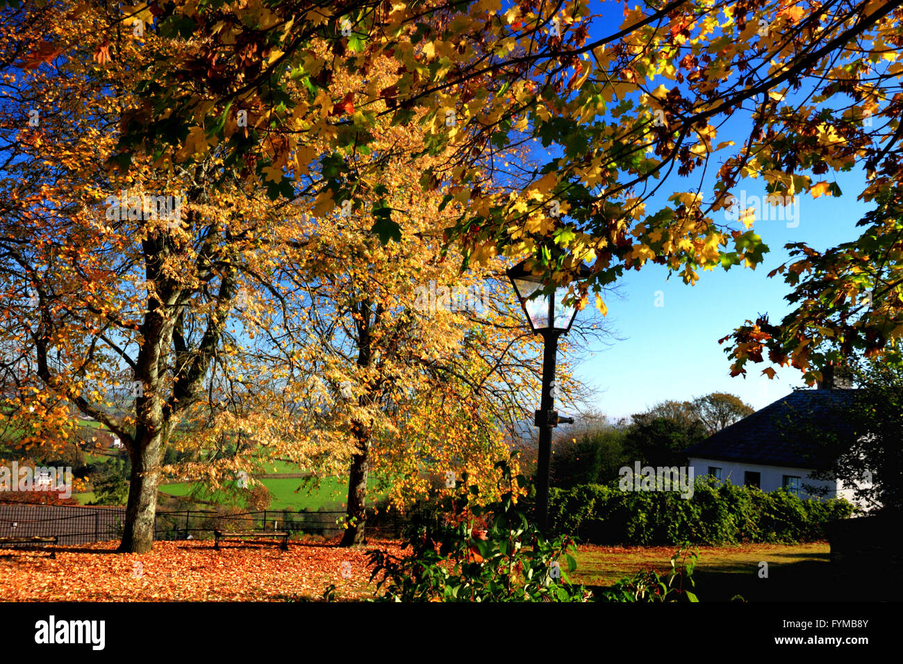 Autumn in the churchyard at Launceston, Cornwall. Stock Photo