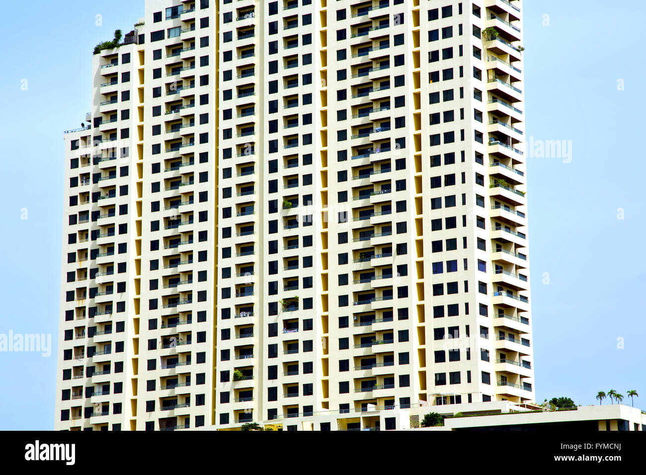 bangkok terrace thailand in office tree skyscraper reflex Stock Photo ...