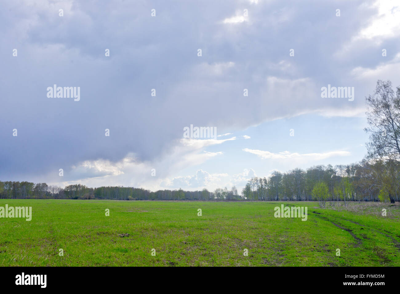 stormy clouds over a green field Stock Photo