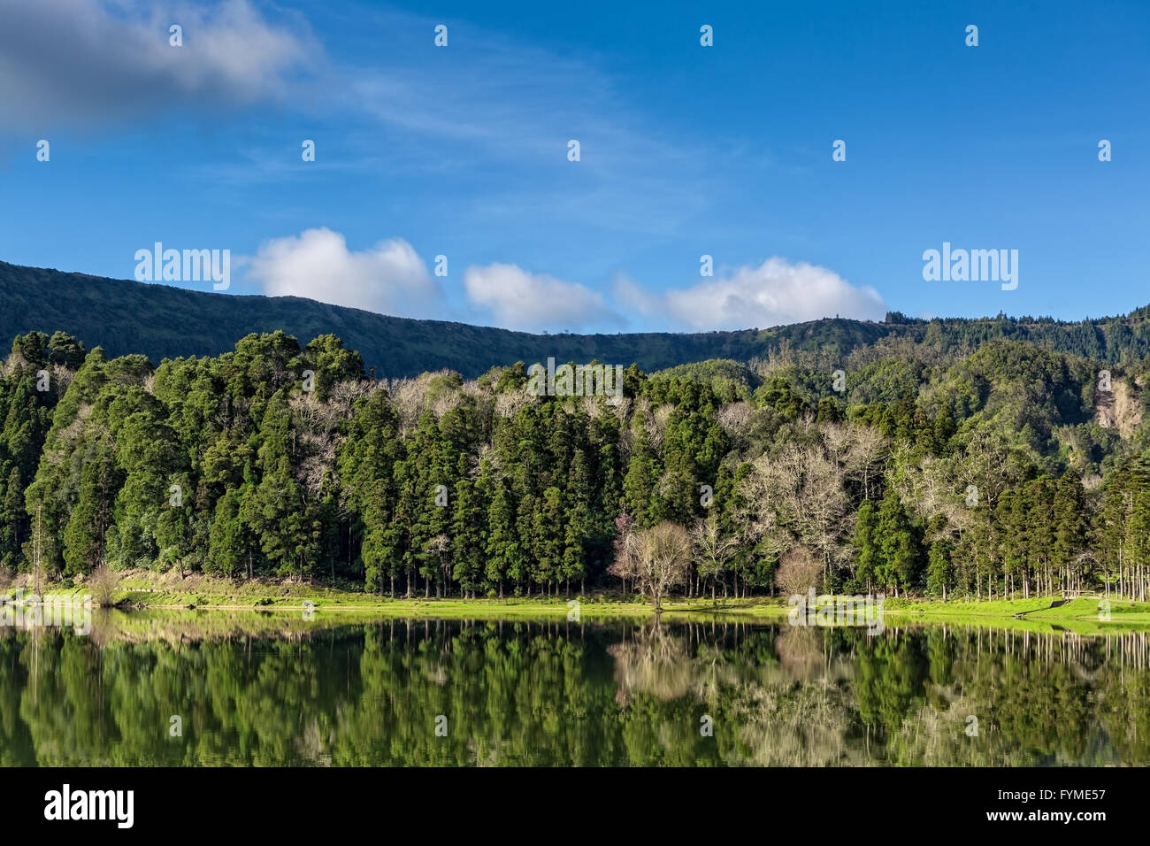 Beautiful Forest Landscape with Lake and Mountains Stock Photo - Alamy
