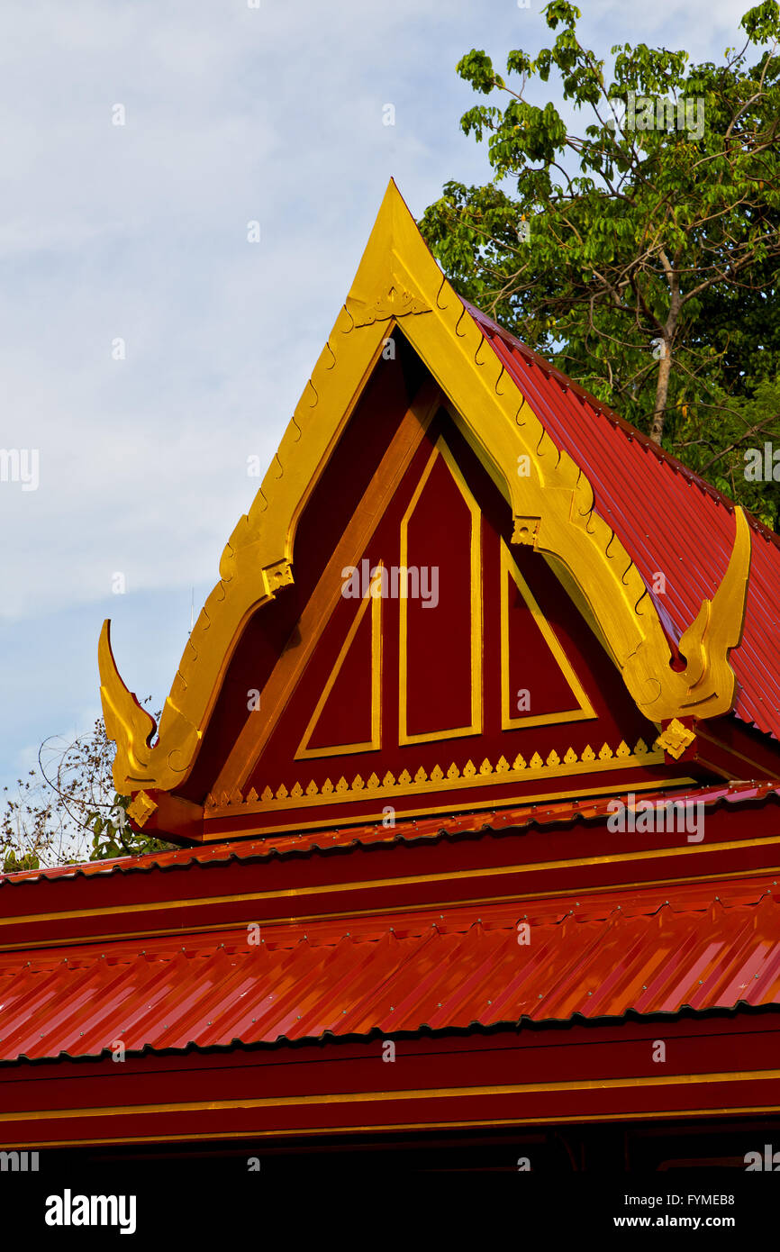 bangkok in the temple thailand abstract plant Stock Photo - Alamy