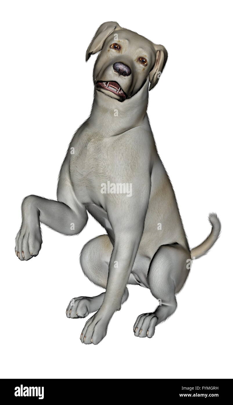 Sad labrador dog sitting - 3D render Stock Photo
