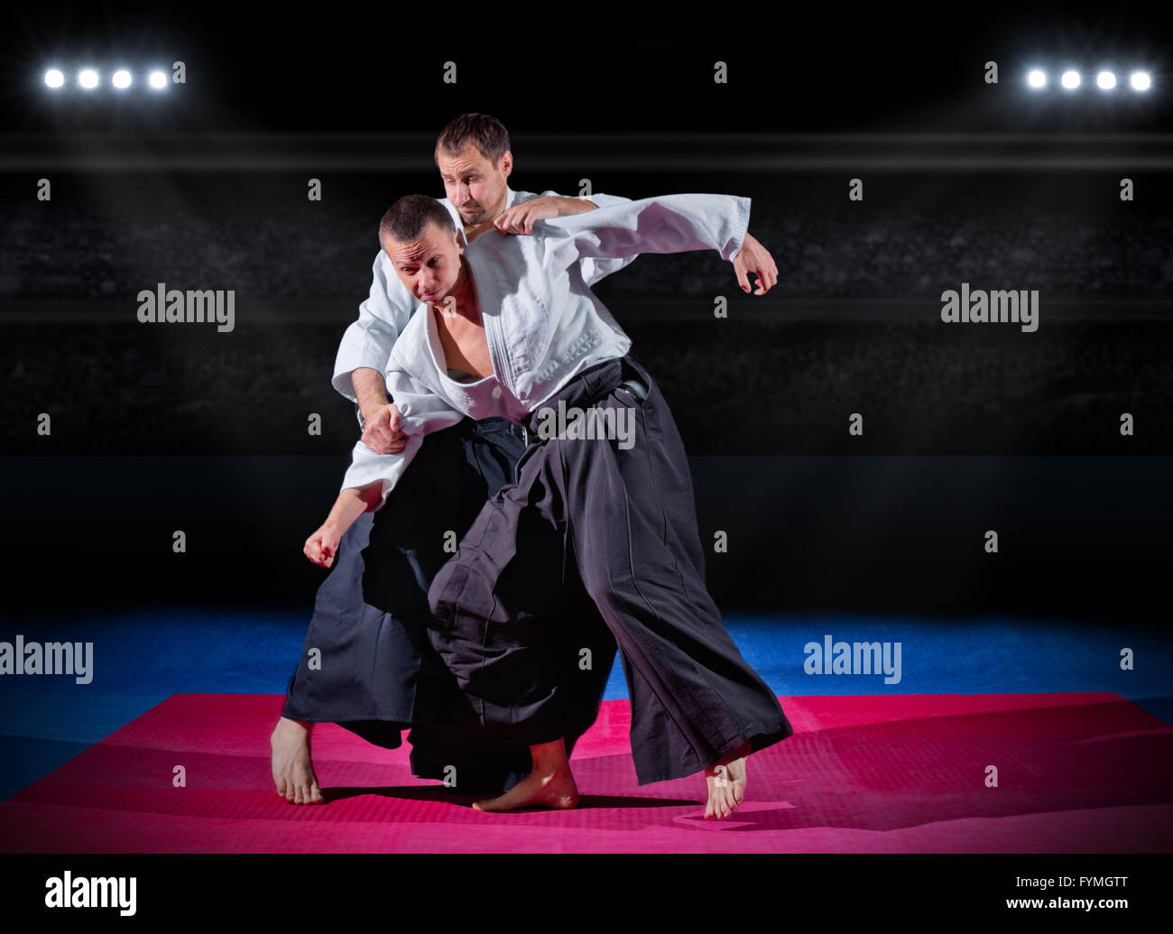 Kung fu black belt hi-res stock photography and images - Alamy