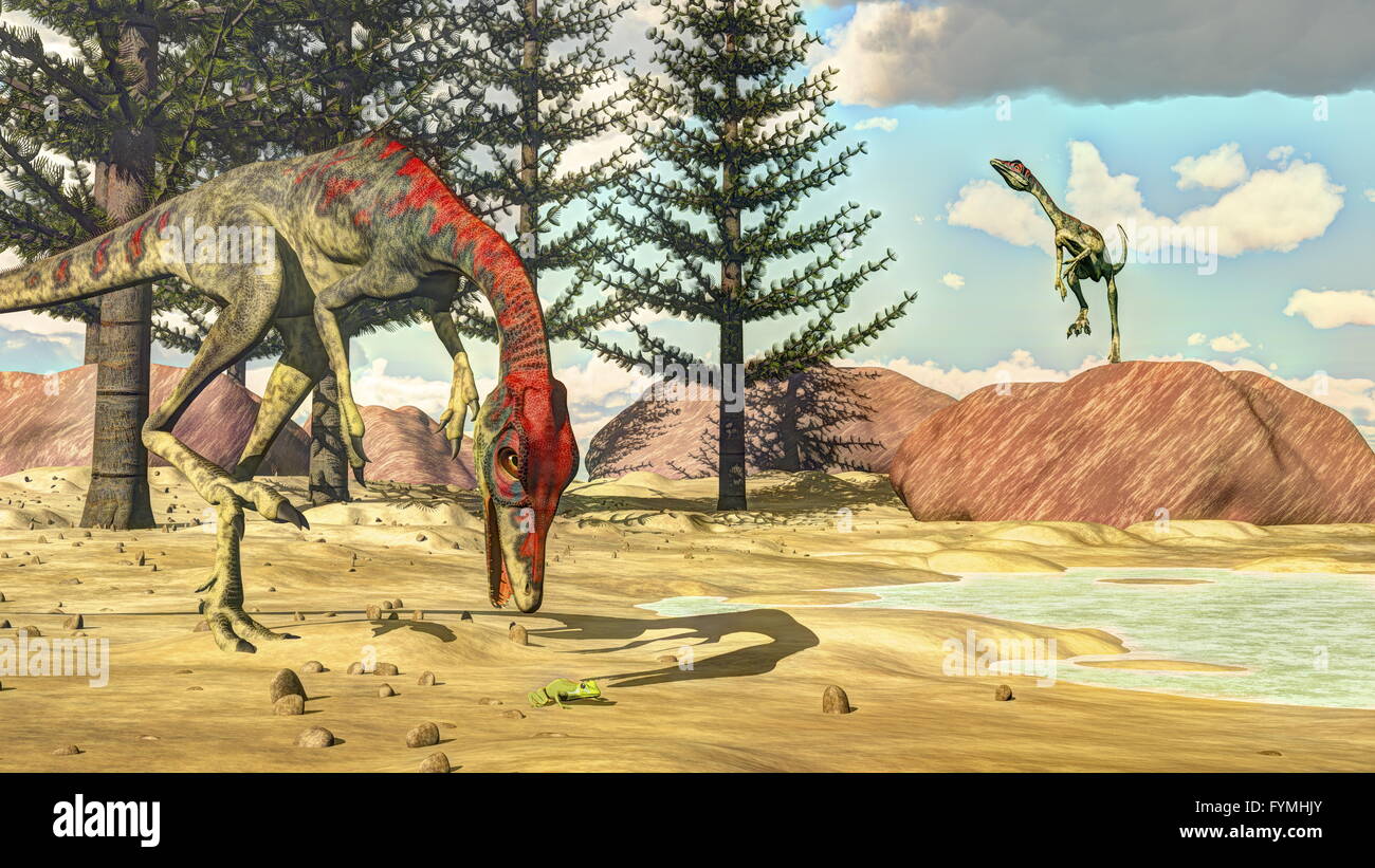 Compsognathus dinosaurs - 3D render Stock Photo