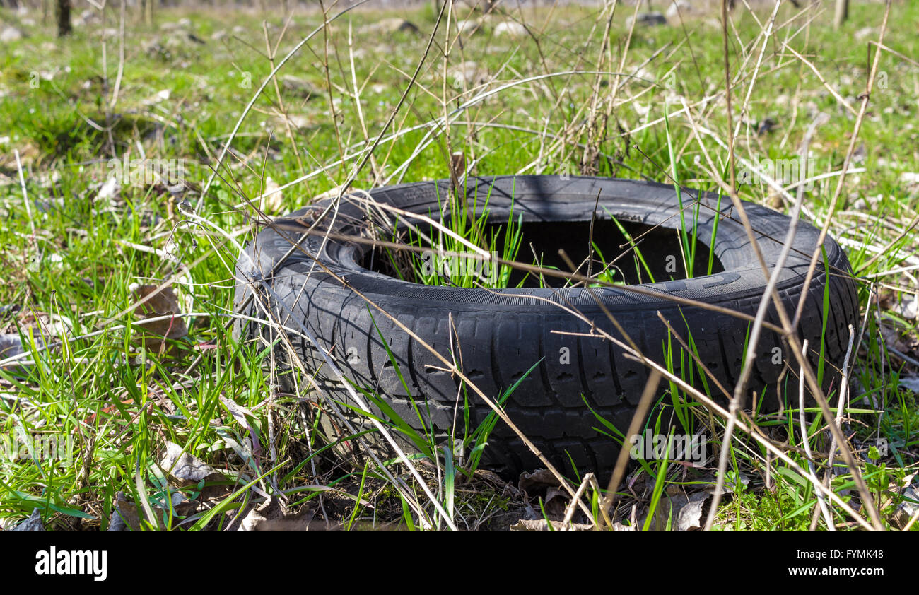 Old tire polluting the nature Stock Photo