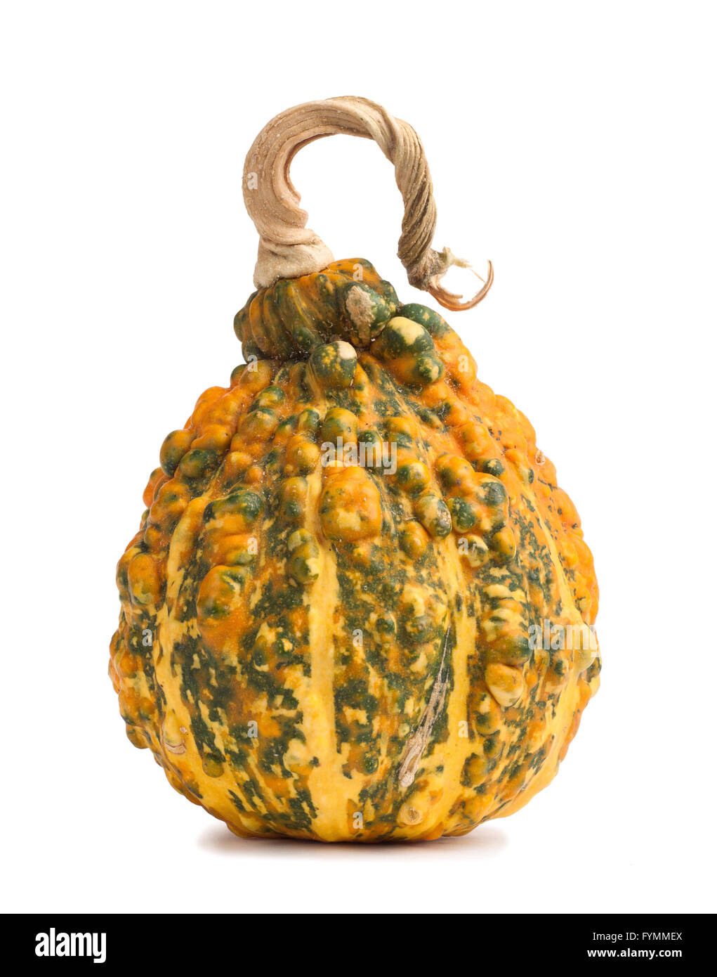 Big orange pumpkin on isolated background Stock Photo - Alamy
