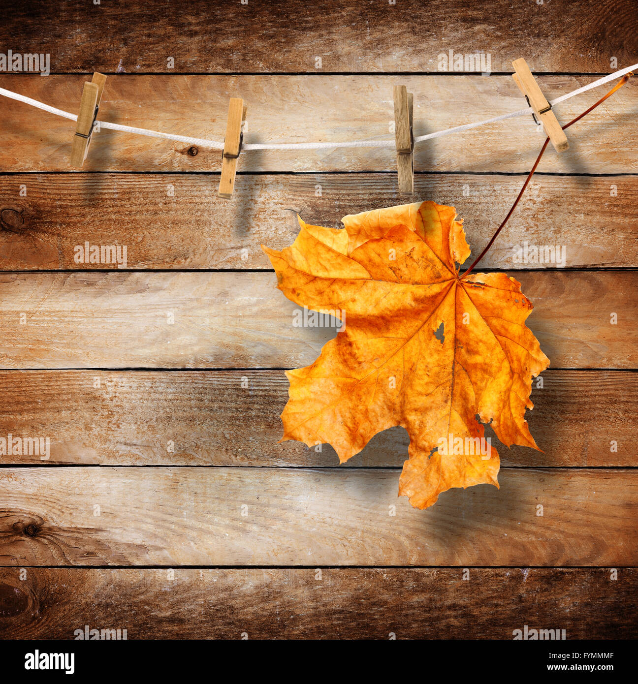 Bright autumn leaves on the old wooden background Stock Photo - Alamy