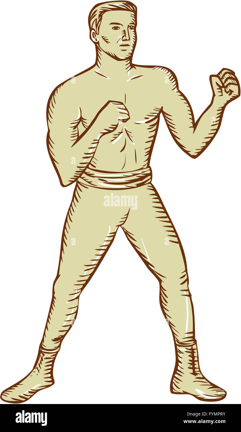 Vintage Boxer Pose Etching Stock Photo Alamy