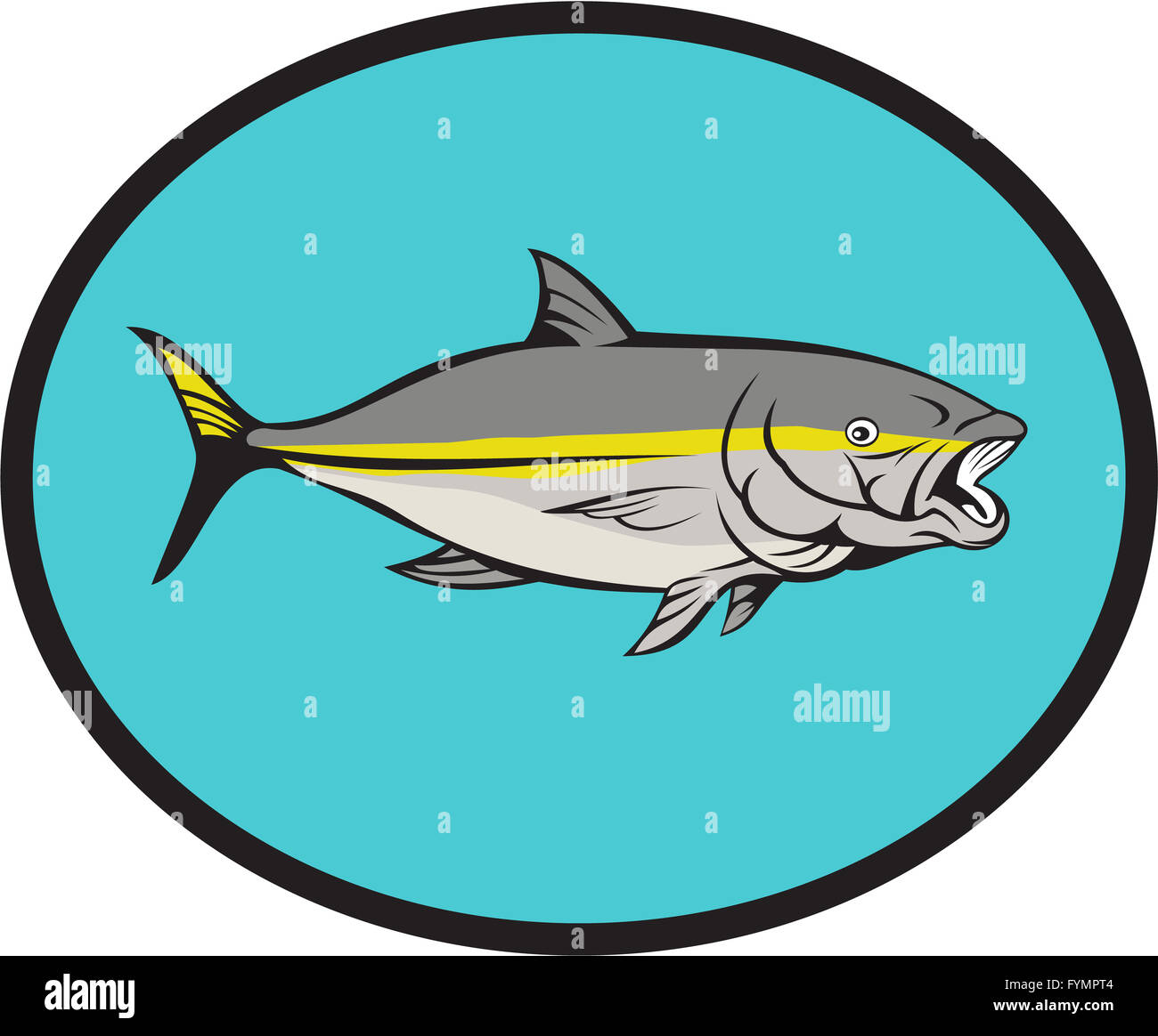 Yellowtail Kingfish Oval Cartoon Stock Photo Alamy